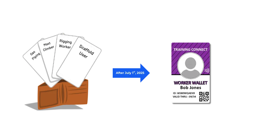 Before and after comparison showing multiple old worker certification cards consolidating into one Worker Wallet card as of July 1, 2025